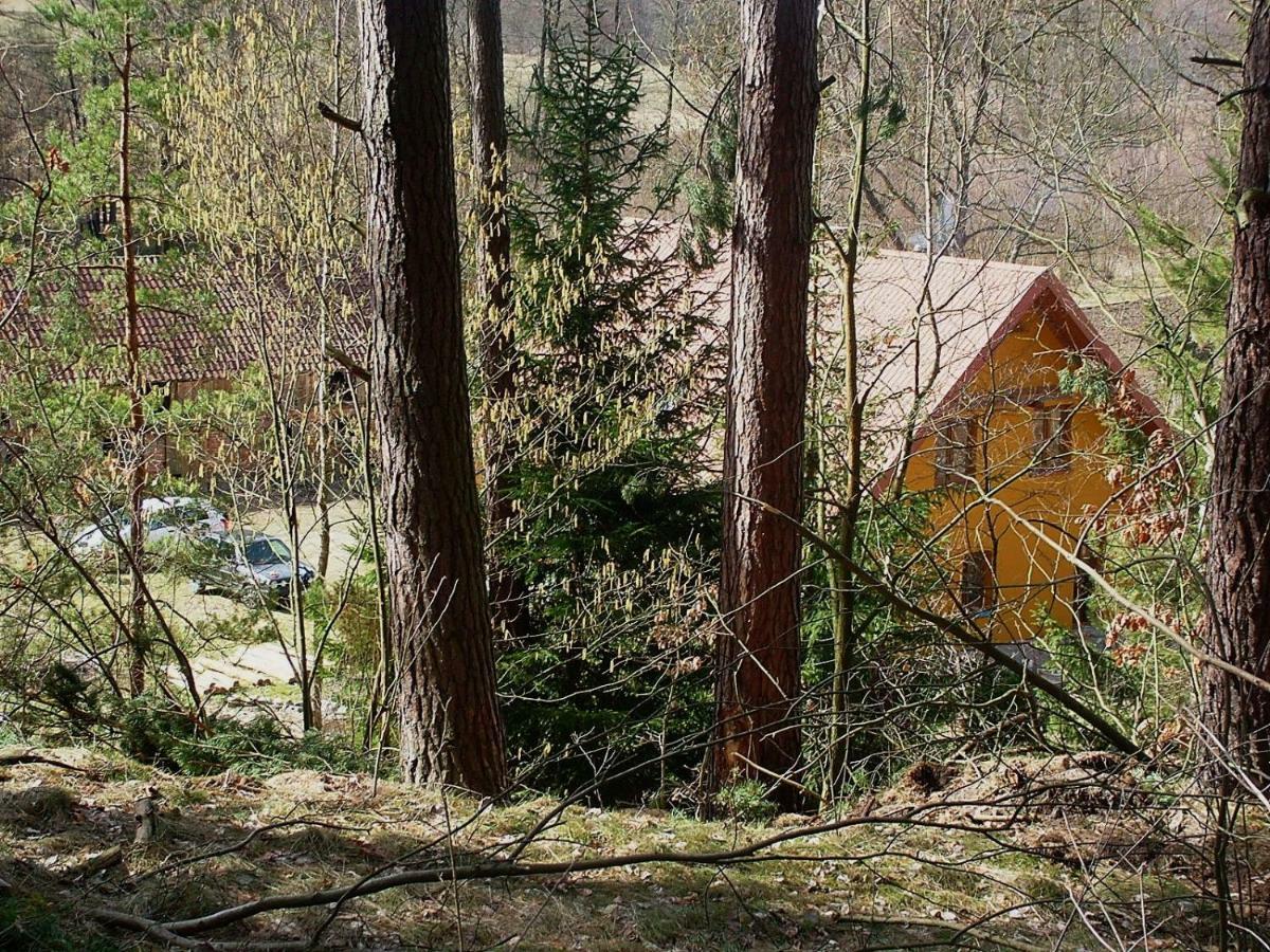 Agrojelonki Agroturystyka Gietrzwałd Exterior foto
