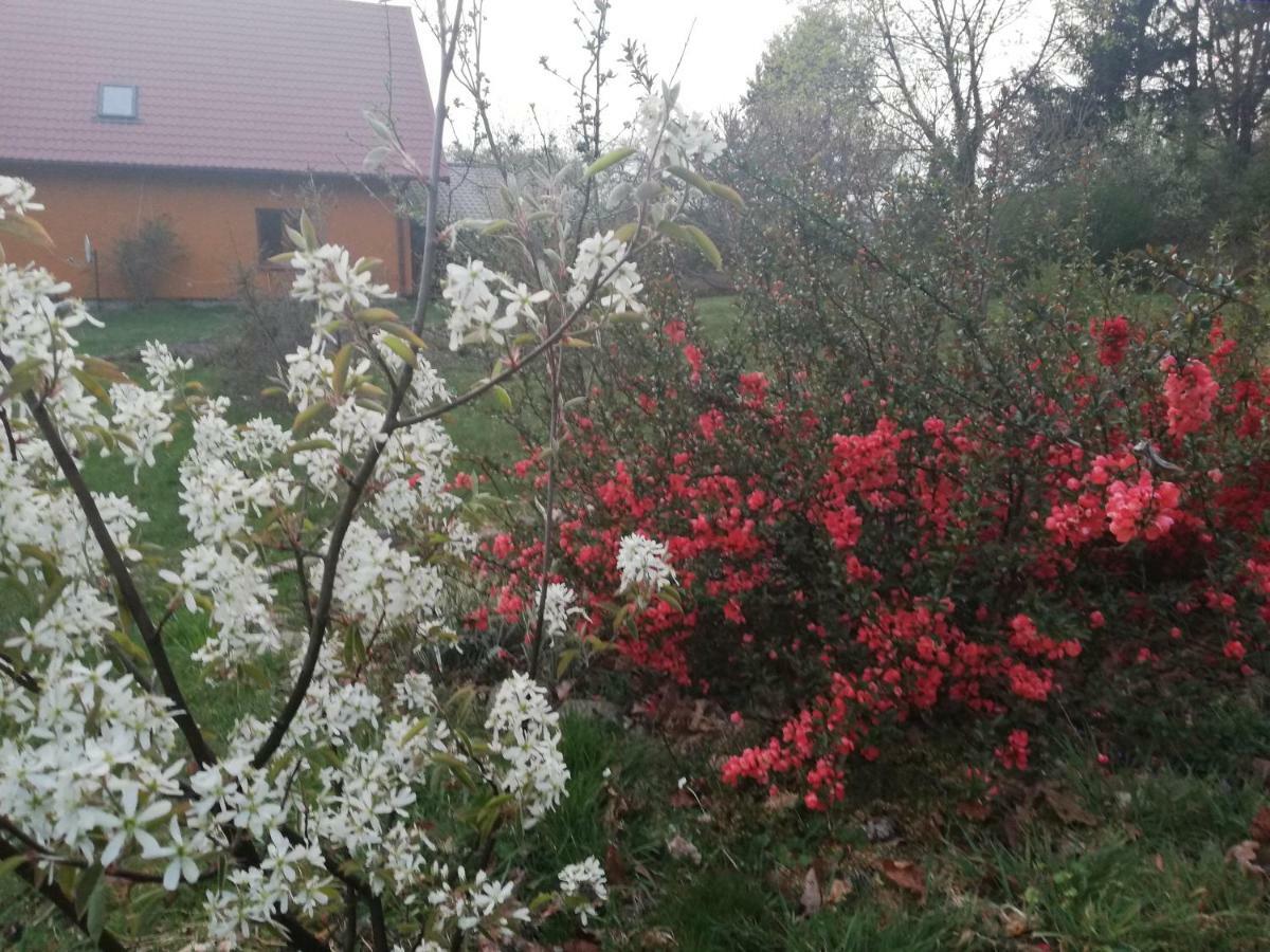 Agrojelonki Agroturystyka Gietrzwałd Exterior foto
